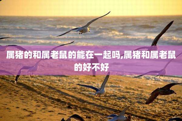 属猪的和属老鼠的能在一起吗,属猪和属老鼠的好不好