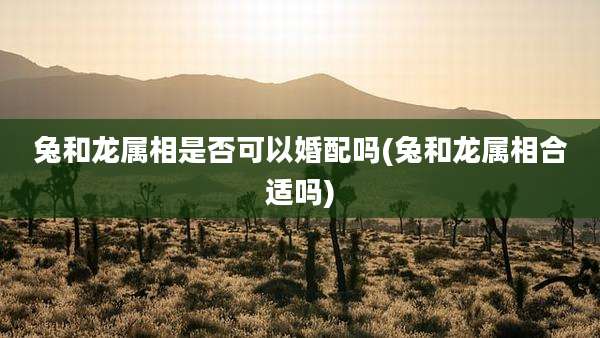 兔和龙属相是否可以婚配吗(兔和龙属相合适吗)
