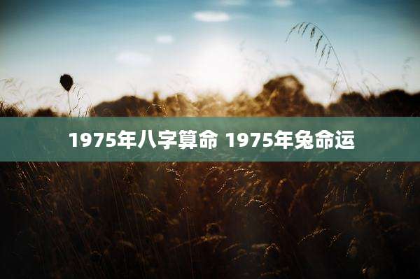 1975年八字算命 1975年兔命运