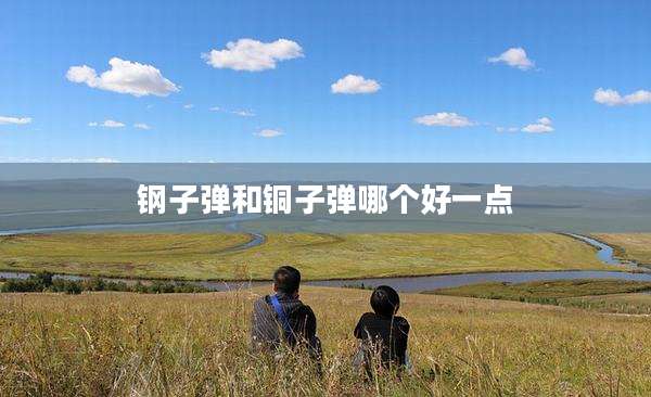 钢子弹和铜子弹哪个好一点