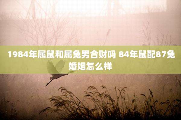 1984年属鼠和属兔男合财吗 84年鼠配87兔婚姻怎么样