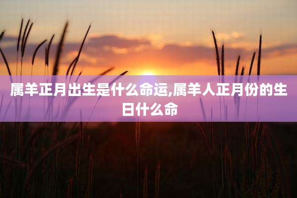 属羊正月出生是什么命运,属羊人正月份的生日什么命