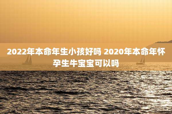 2022年本命年生小孩好吗 2020年本命年怀孕生牛宝宝可以吗
