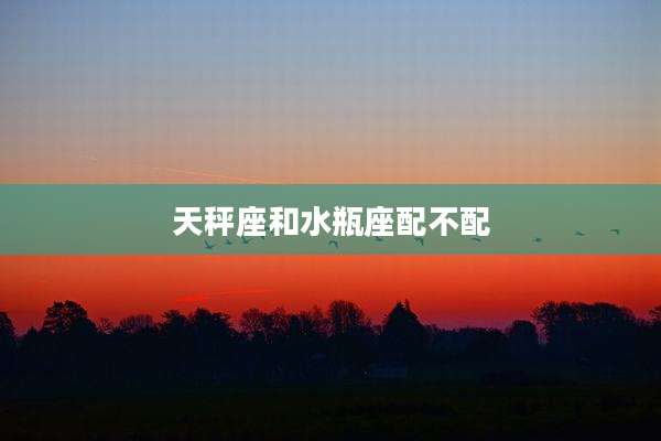 天秤座和水瓶座配不配