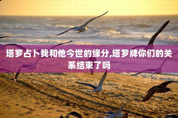 塔罗占卜我和他今世的缘分,塔罗牌你们的关系结束了吗