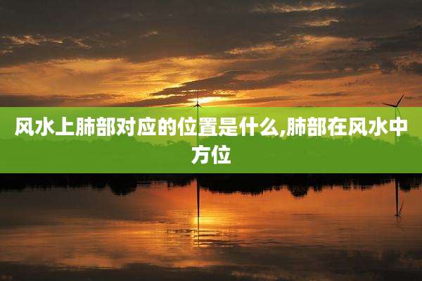 风水上肺部对应的位置是什么,肺部在风水中方位