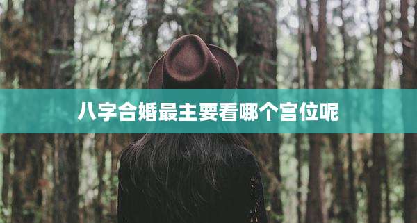 八字合婚最主要看哪个宫位呢