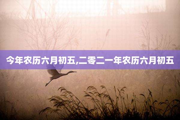 今年农历六月初五,二零二一年农历六月初五