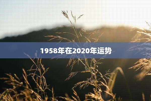 1958年在2020年运势