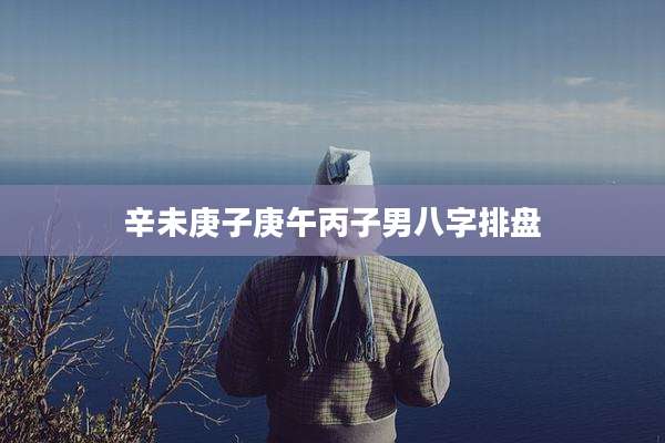 辛未庚子庚午丙子男八字排盘