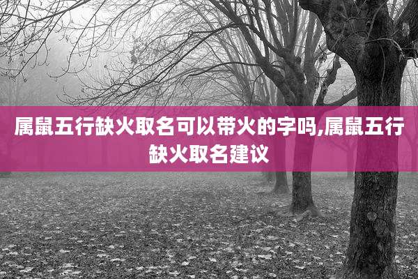 属鼠五行缺火取名可以带火的字吗,属鼠五行缺火取名建议