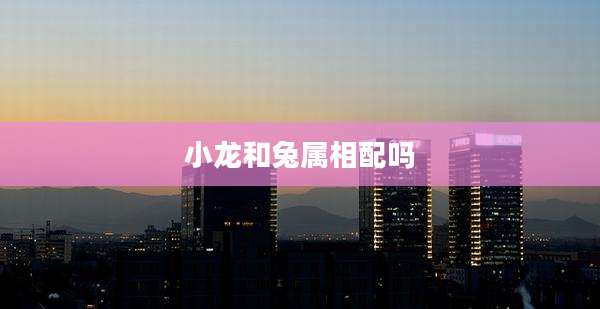 小龙和兔属相配吗