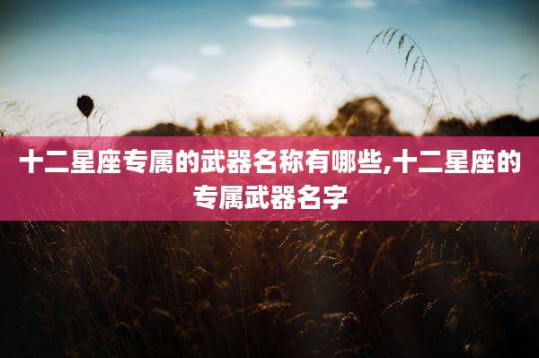 十二星座专属的武器名称有哪些,十二星座的专属武器名字