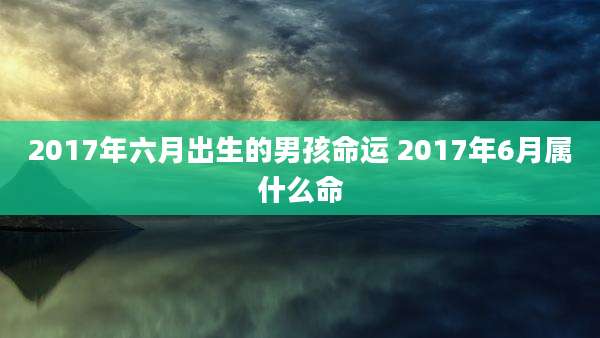 2017年六月出生的男孩命运 2017年6月属什么命