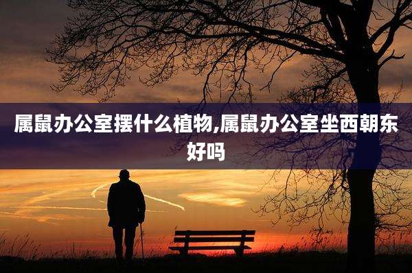 属鼠办公室摆什么植物,属鼠办公室坐西朝东好吗
