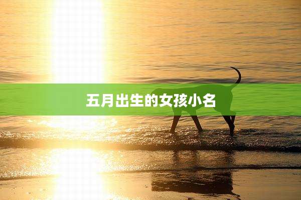 五月出生的女孩小名