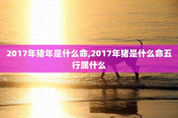 2017年猪年是什么命,2017年猪是什么命五行属什么
