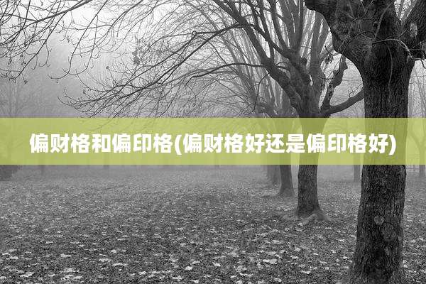 偏财格和偏印格(偏财格好还是偏印格好)