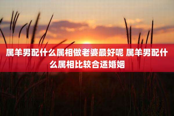 属羊男配什么属相做老婆最好呢 属羊男配什么属相比较合适婚姻