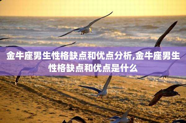 金牛座男生性格缺点和优点分析,金牛座男生性格缺点和优点是什么