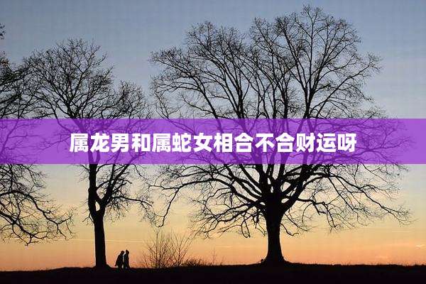 属龙男和属蛇女相合不合财运呀