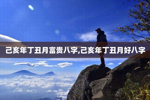 己亥年丁丑月富贵八字,己亥年丁丑月好八字
