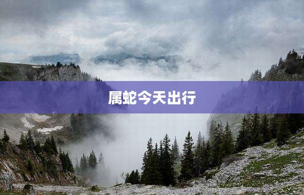 属蛇今天出行