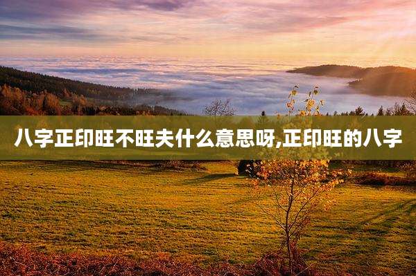 八字正印旺不旺夫什么意思呀,正印旺的八字