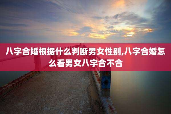 八字合婚根据什么判断男女性别,八字合婚怎么看男女八字合不合