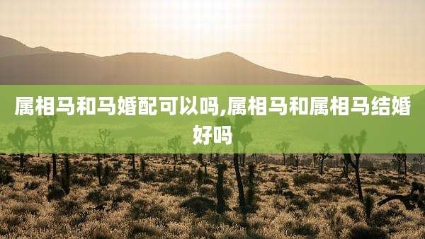 属相马和马婚配可以吗,属相马和属相马结婚好吗