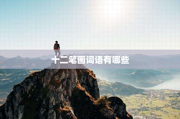 十二笔画词语有哪些