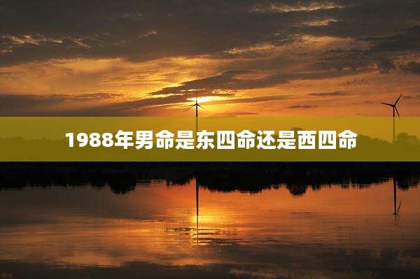 1988年男命是东四命还是西四命