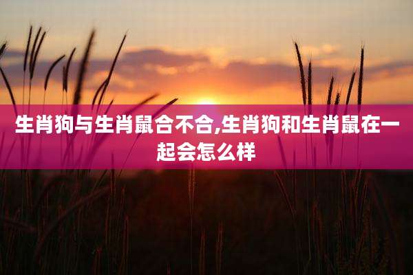 生肖狗与生肖鼠合不合,生肖狗和生肖鼠在一起会怎么样