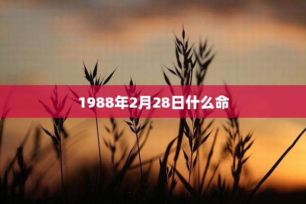 1988年2月28日什么命