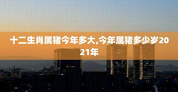 十二生肖属猪今年多大,今年属猪多少岁2021年