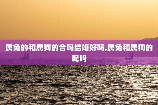 属兔的和属狗的合吗结婚好吗,属兔和属狗的配吗