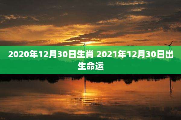 2020年12月30日生肖 2021年12月30日出生命运