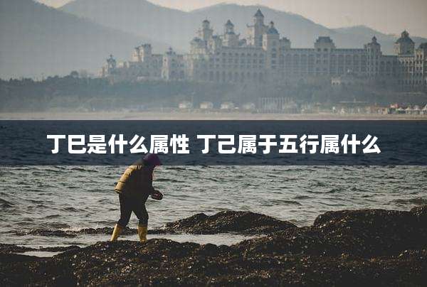 丁巳是什么属性 丁己属于五行属什么