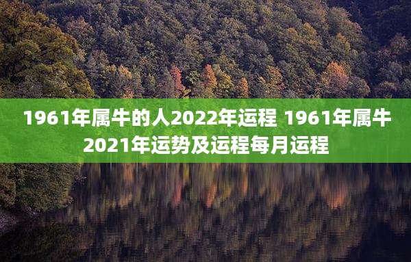 1961年属牛的人2022年运程 1961年属牛2021年运势及运程每月运程