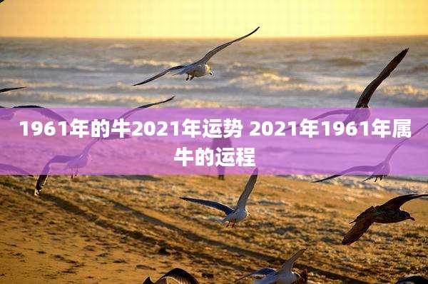 1961年的牛2021年运势 2021年1961年属牛的运程