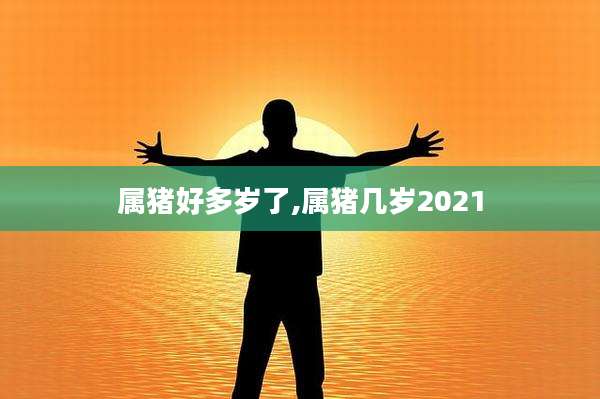 属猪好多岁了,属猪几岁2021
