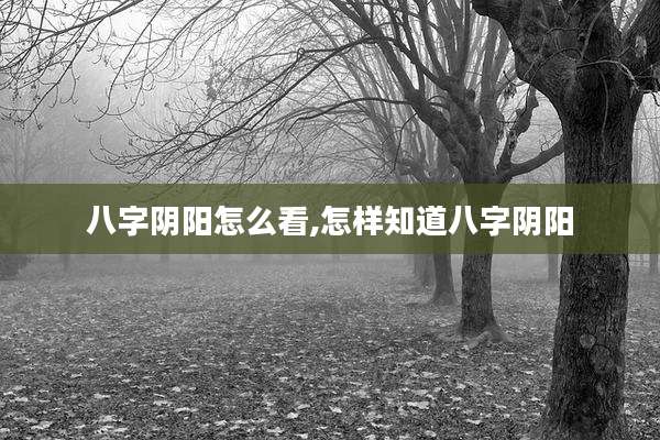 八字阴阳怎么看,怎样知道八字阴阳