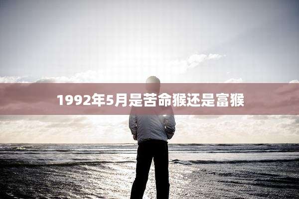 1992年5月是苦命猴还是富猴