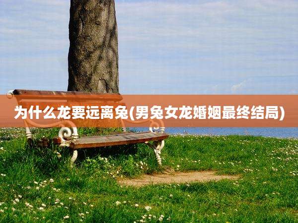为什么龙要远离兔(男兔女龙婚姻最终结局)