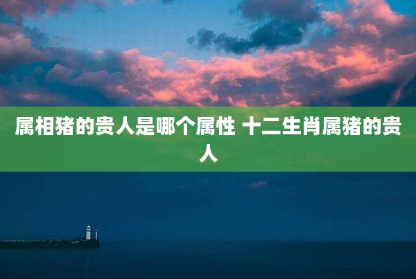 属相猪的贵人是哪个属性 十二生肖属猪的贵人