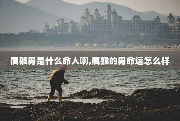 属猴男是什么命人啊,属猴的男命运怎么样