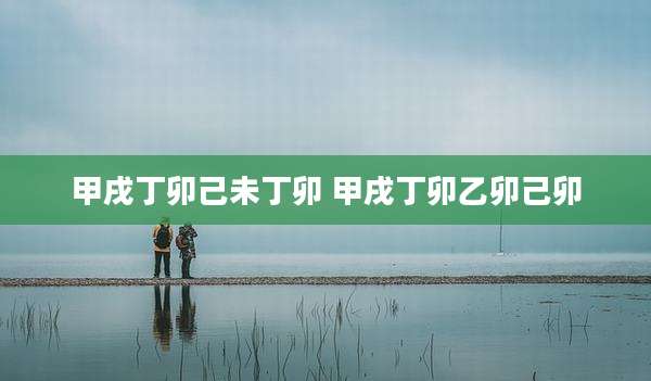 甲戌丁卯己未丁卯 甲戌丁卯乙卯己卯