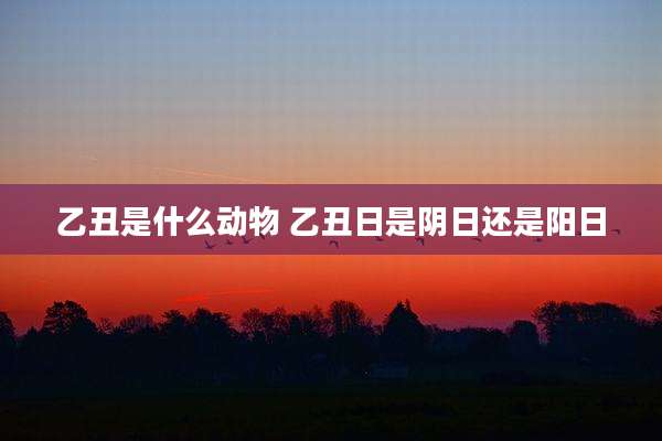 乙丑是什么动物 乙丑日是阴日还是阳日