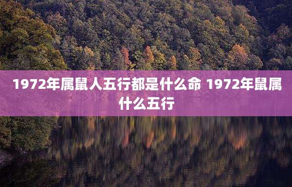 1972年属鼠人五行都是什么命 1972年鼠属什么五行
