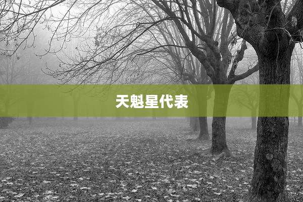 天魁星代表